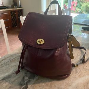 Bungardi color, no scratches, good condition, rarely used, legit Coach backpack